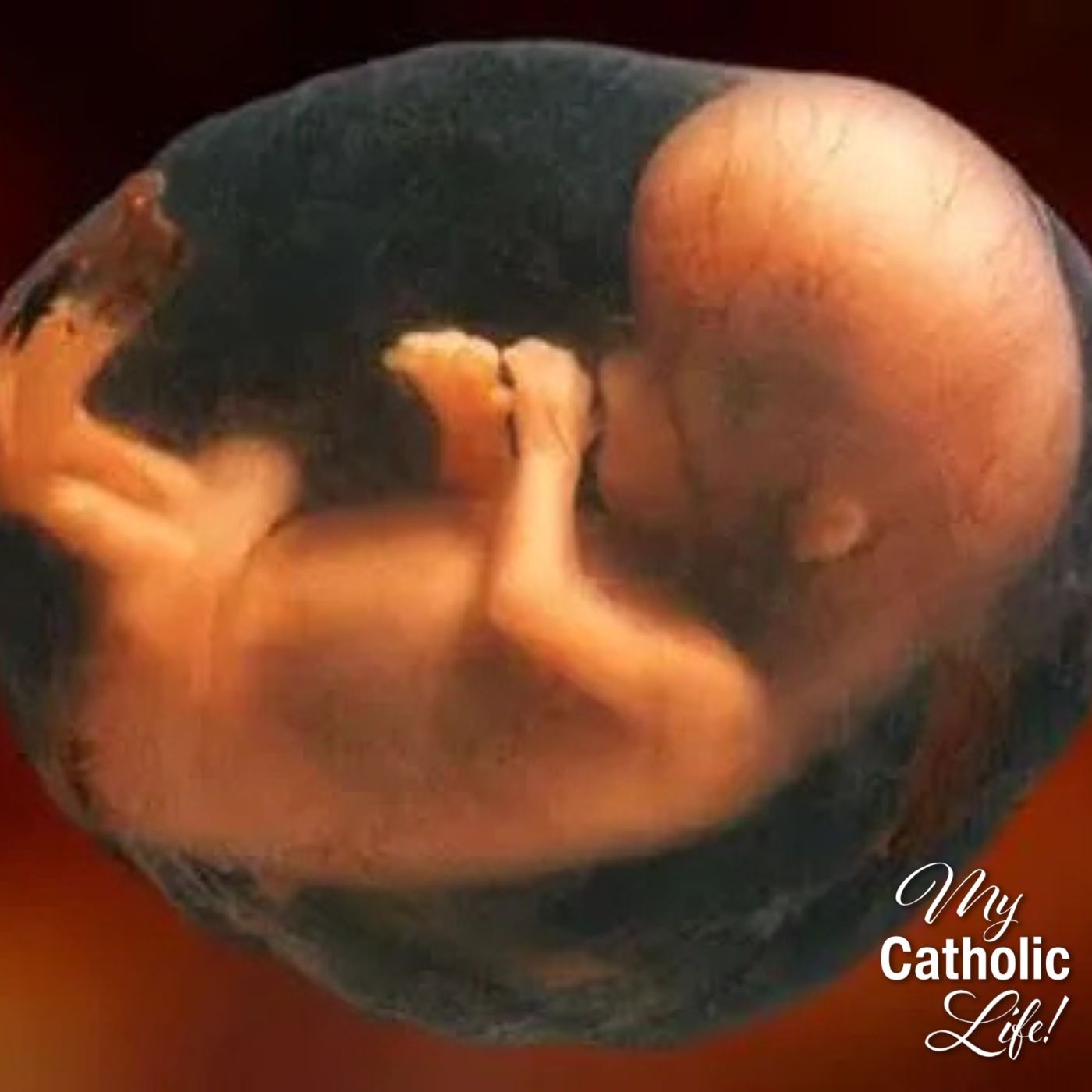 January 22: Day of Prayer for the Legal Protection of Unborn Children—USA Memorial episode artwork