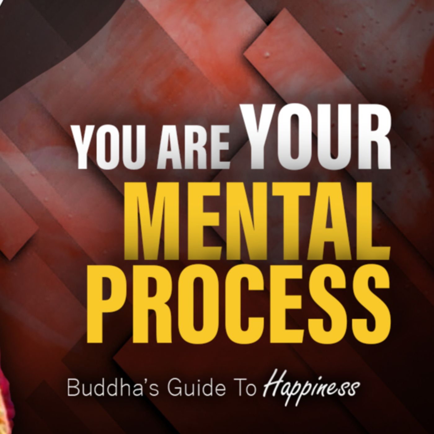 You Are Your Mental Process