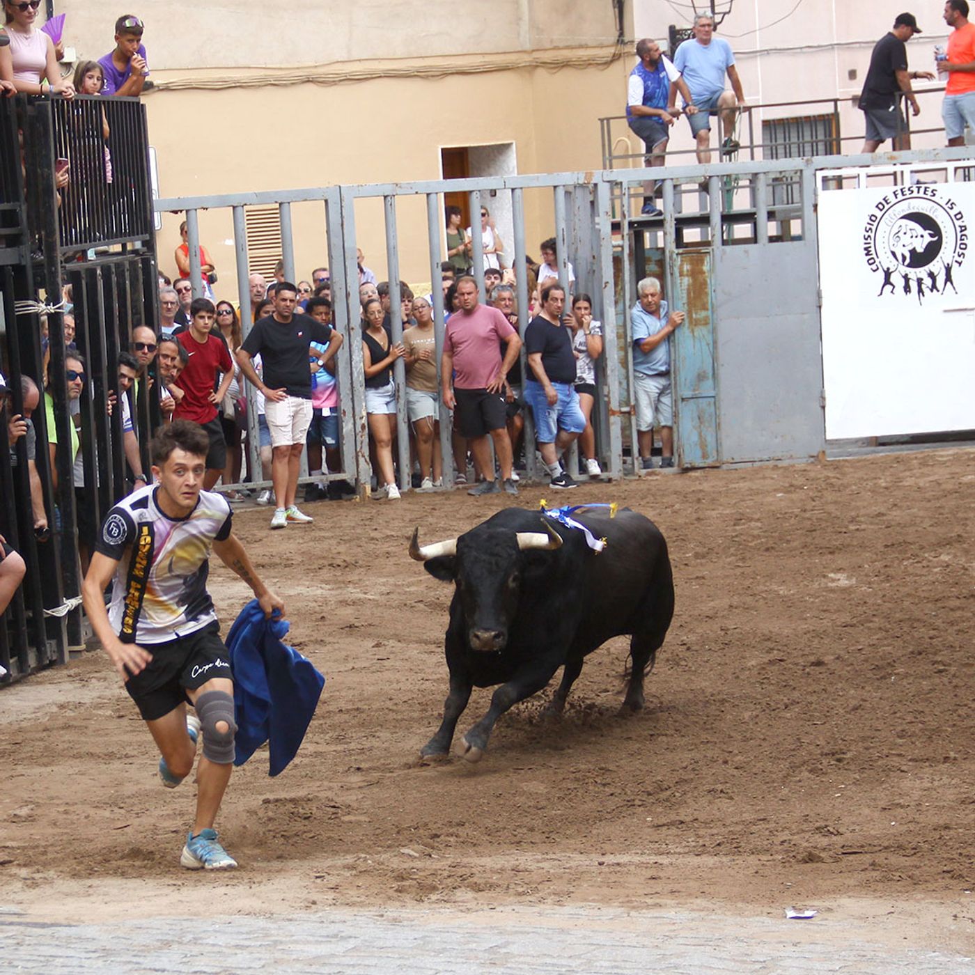 Hablemos de Toros