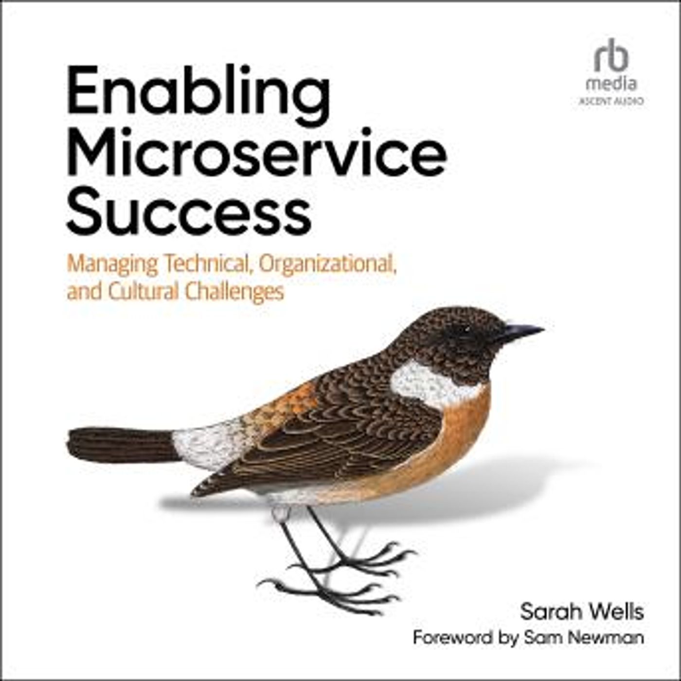 Download High-Quality Full Audiobooks in Non-Fiction, Computers & Technology