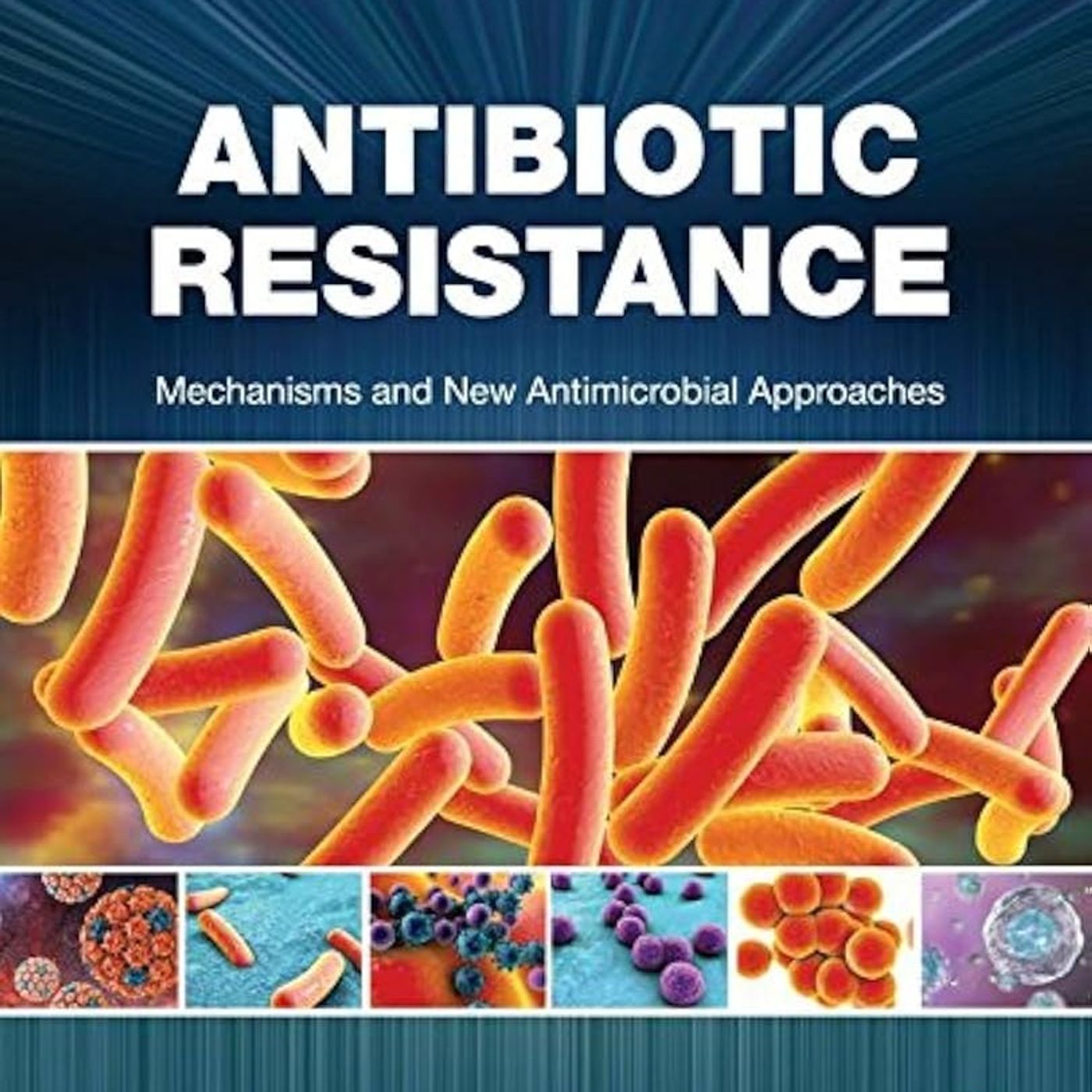 Antibiotic Resistance: Mechanisms and New Antimicrobial Approaches