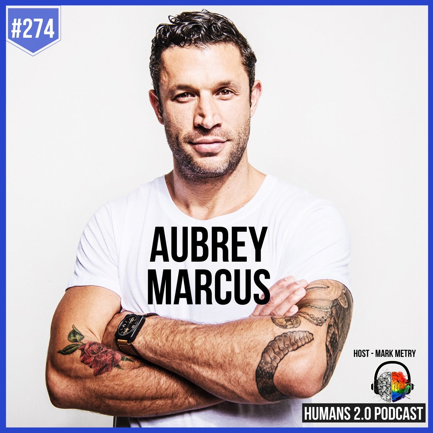Mark Metry Show