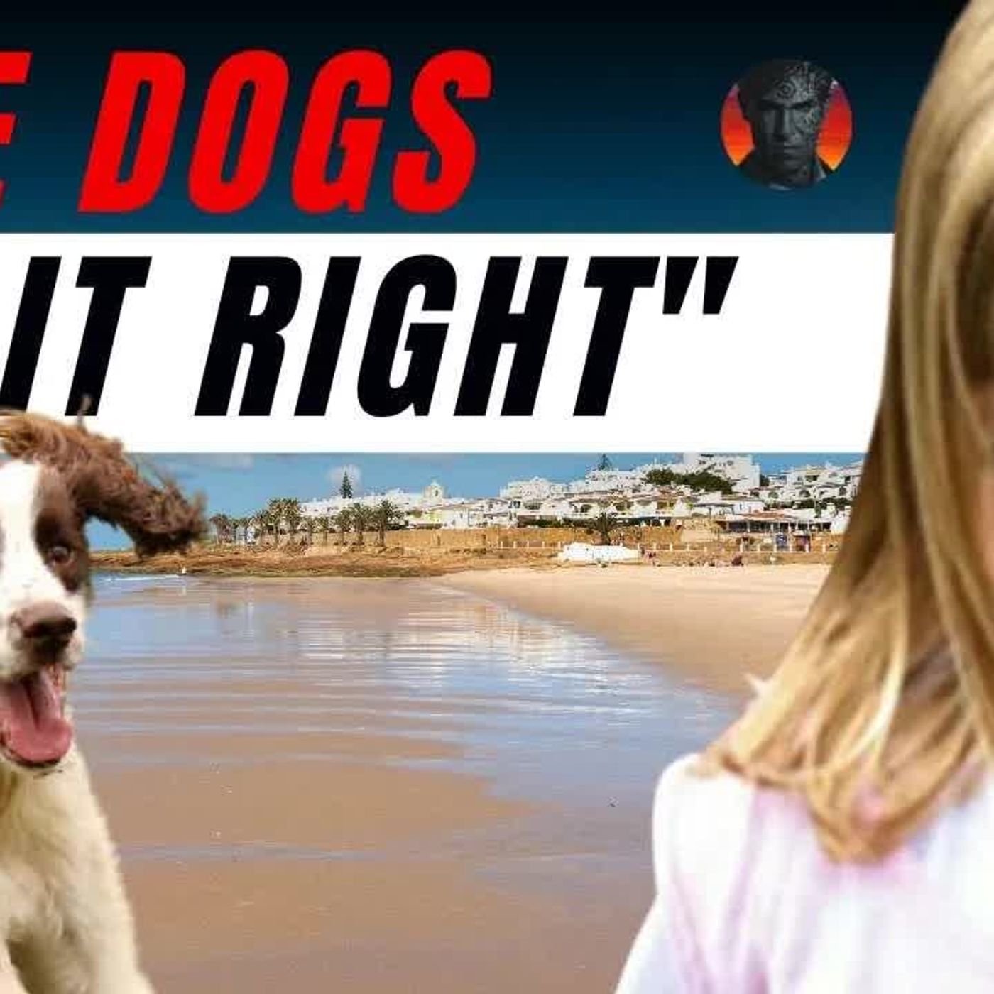 MADELEINE MCCANN ＂Does the British government WANT to know the truth？＂ episode artwork