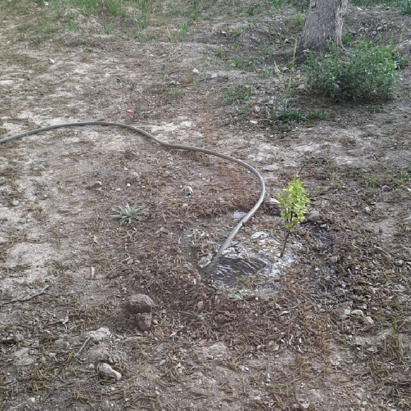 El podcast de Hilario Torres Gallegos