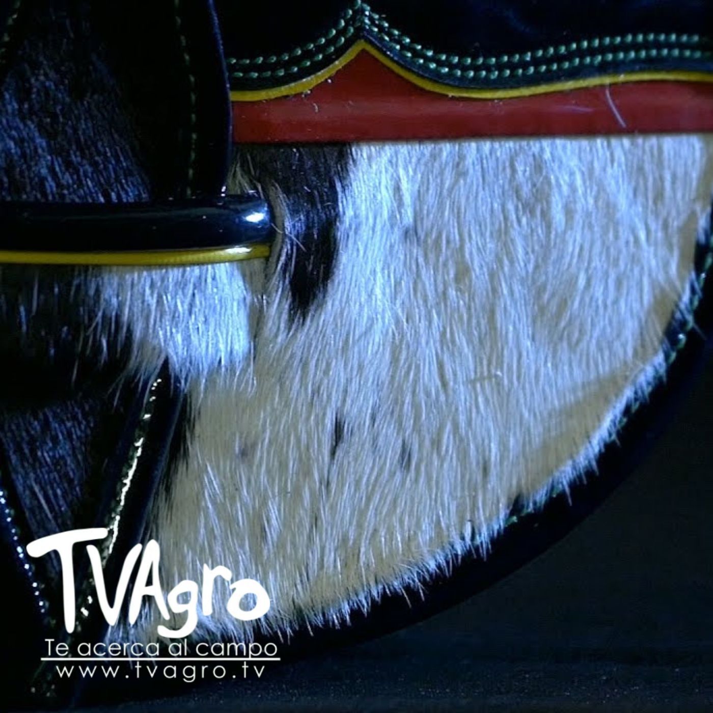 TV AGRO
