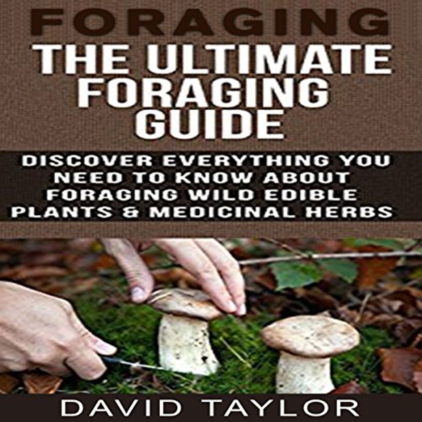 Listen Legally to Best Full Audiobooks in Self Development, How-To