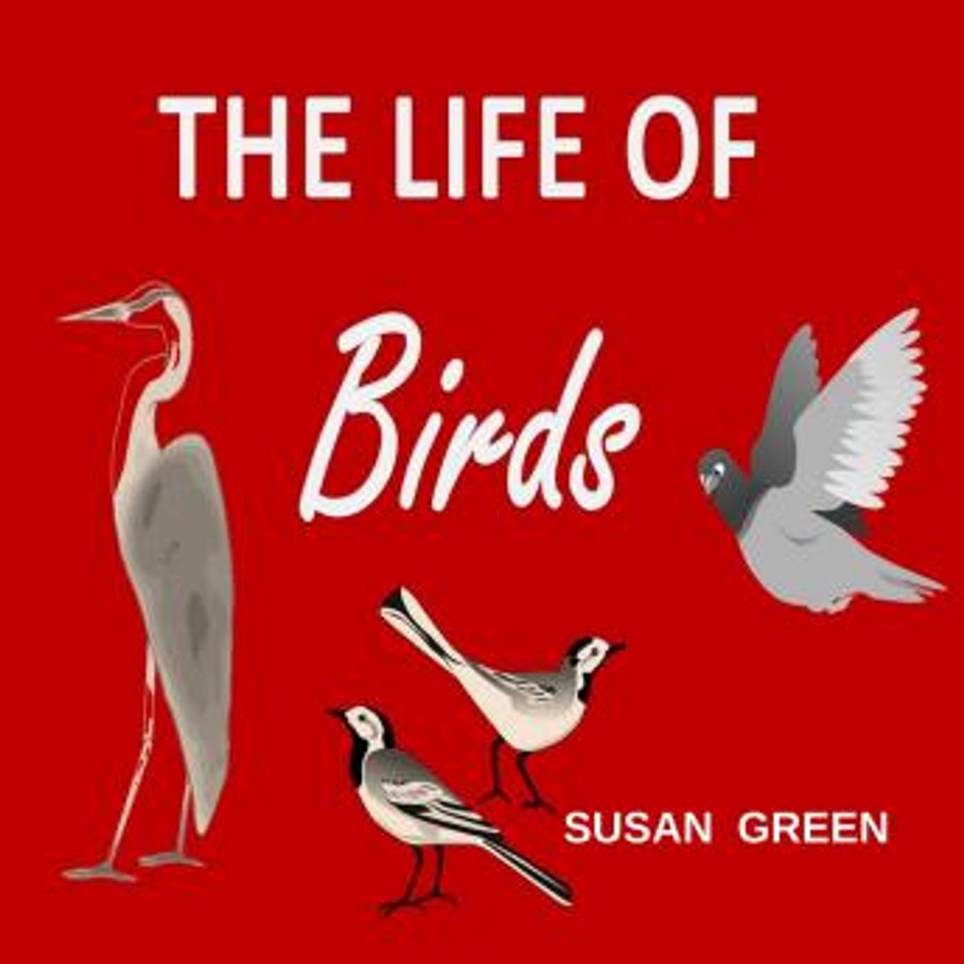Grab the Top Full Audiobooks in Biography & Memoir, Arts & Entertainment