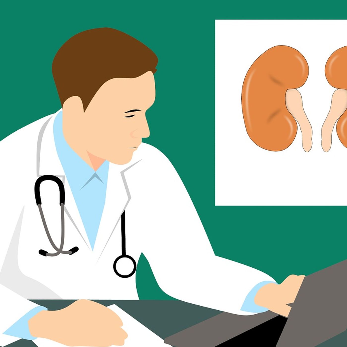 Crash Course on Holistic Diagnostics