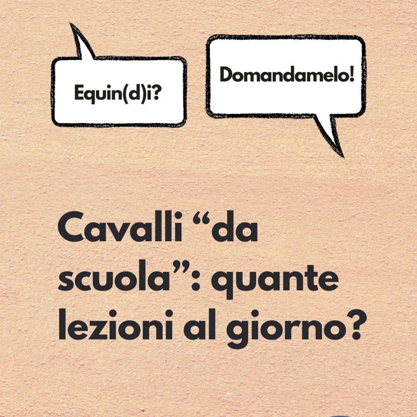 Etologia Equina, il comportamento del cavallo