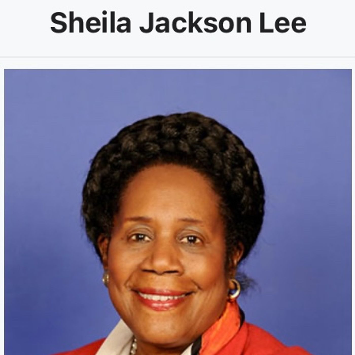 Shelia Jackson Lee cussed out Staff