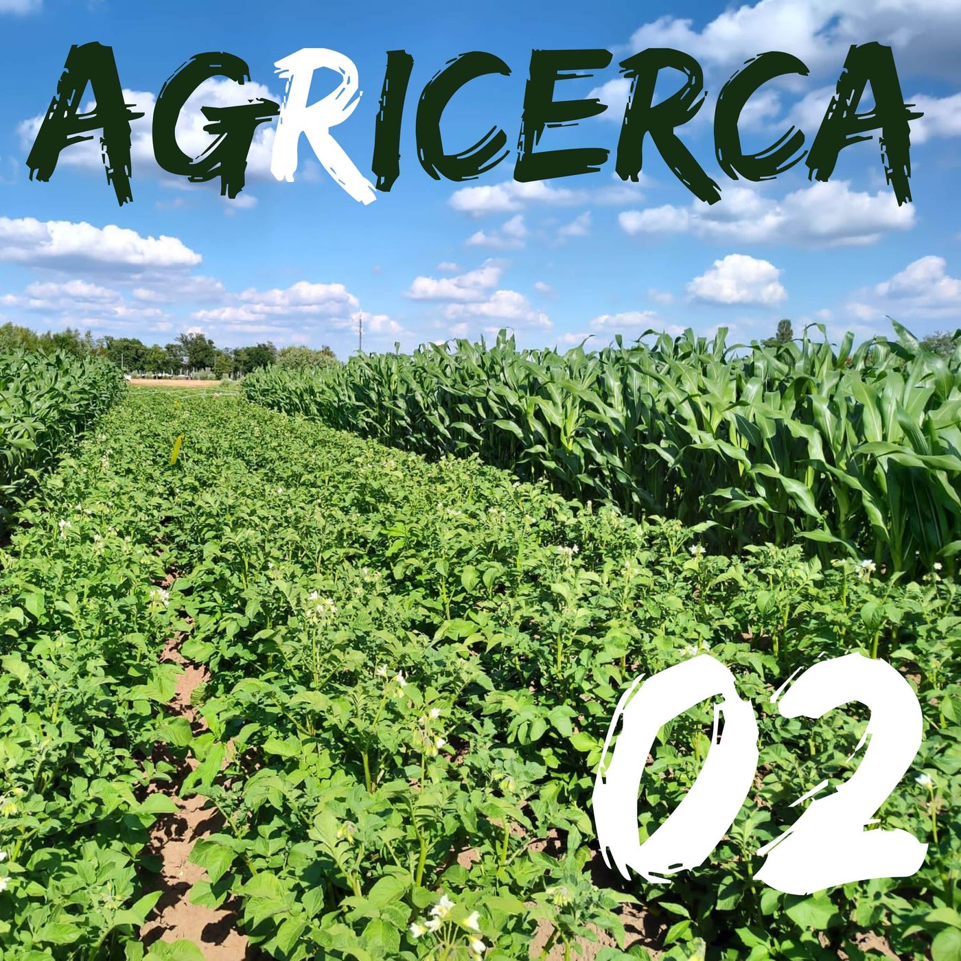 agRicerca