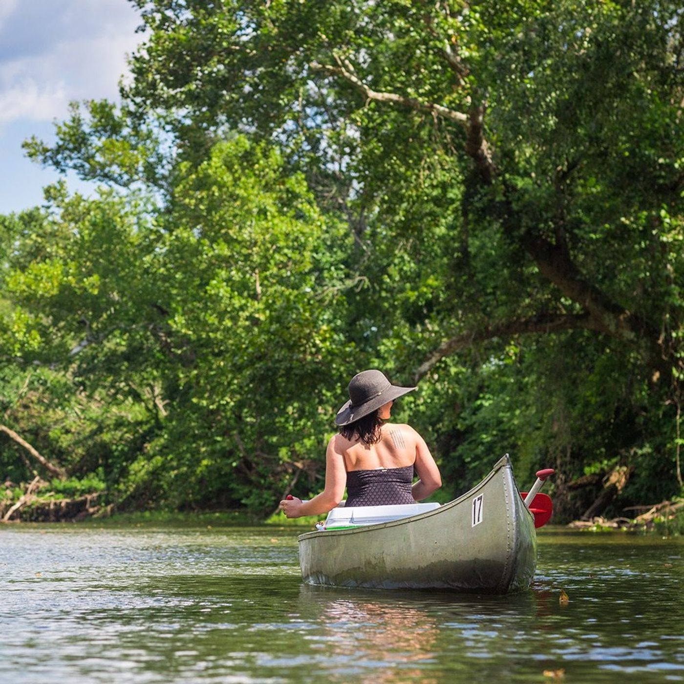 Stop Paddling episode artwork