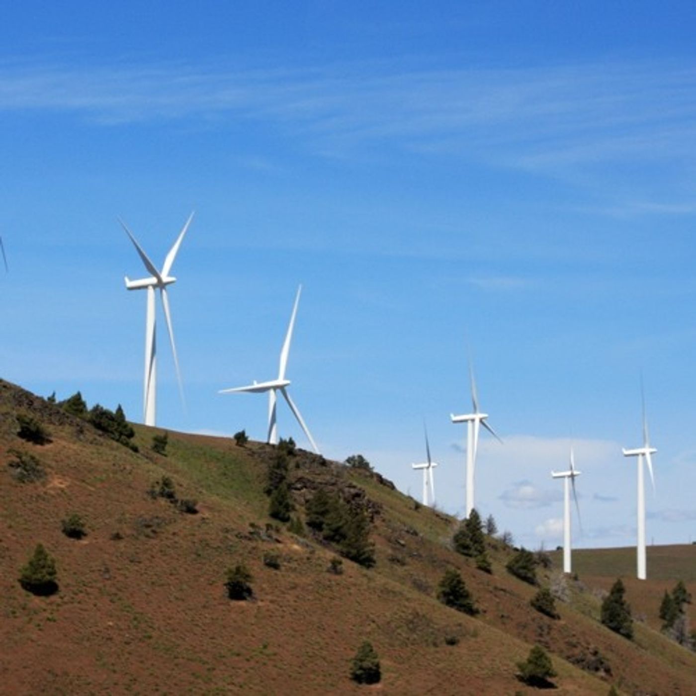 Gregoire Approves  Columbia Gorge Wind Project episode artwork