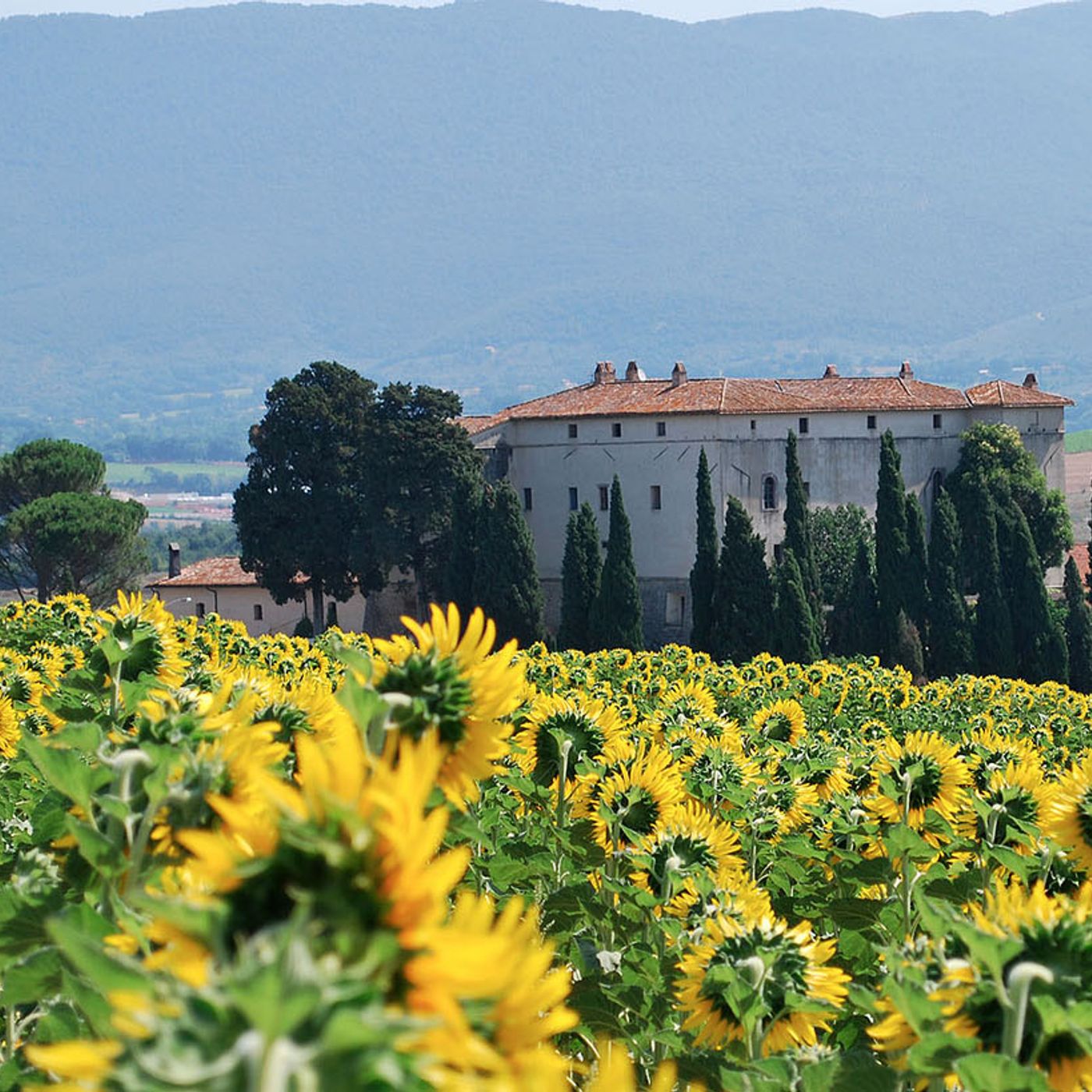 Tenute agricole e vitivinicole Italiane