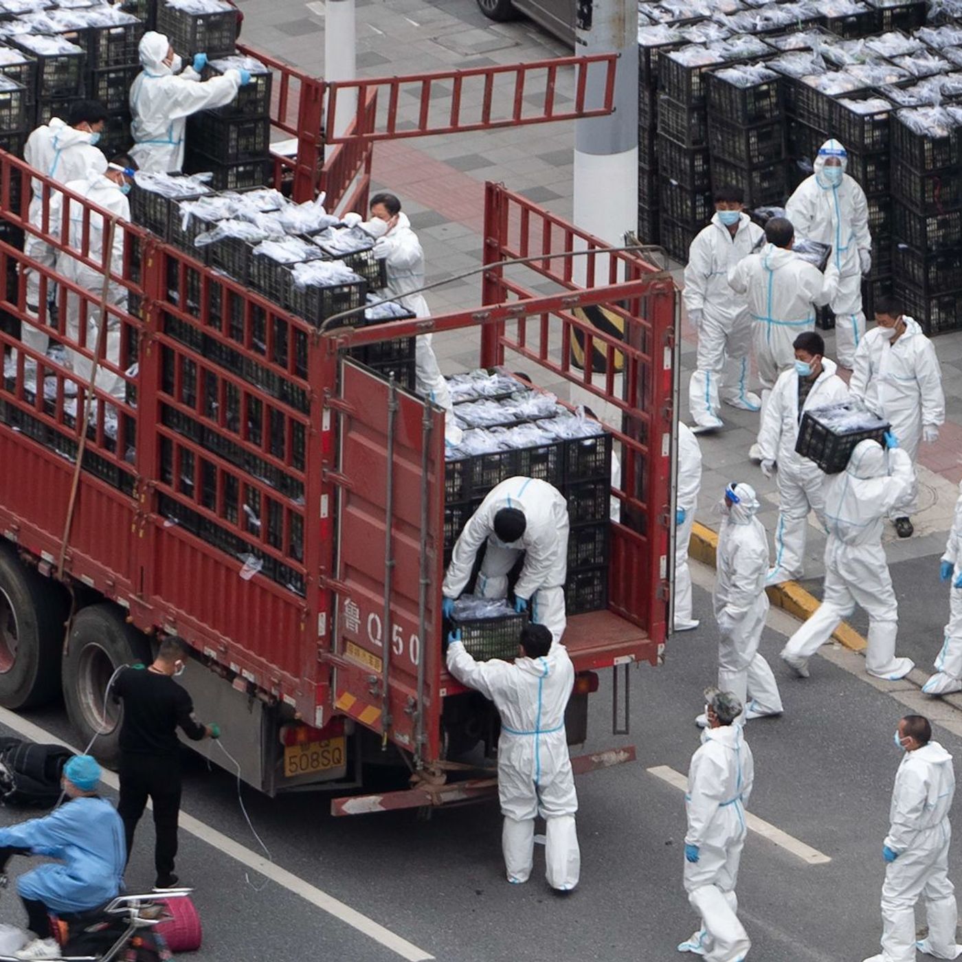 New World Order Podcasts | China Covid Lockdown Protest | NWO Next Move?