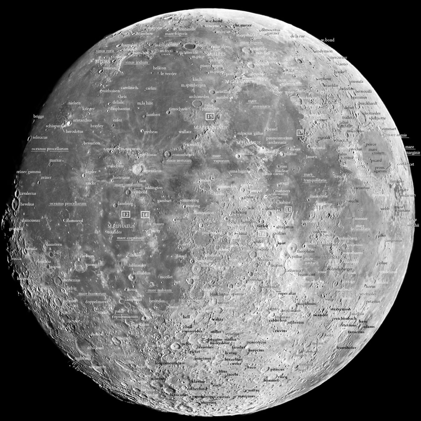 Lunari