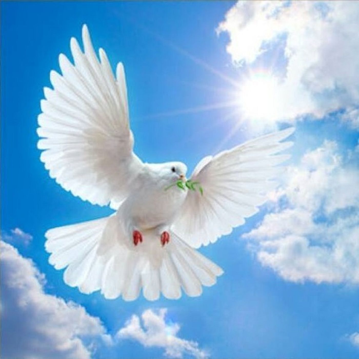 Jesús Es Luz Mx