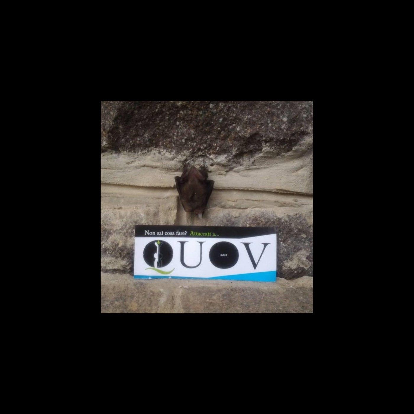 Stagione 2021: in Trentino con Daily Quov.It
