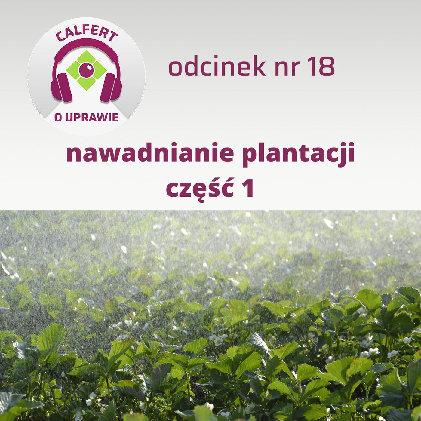18. Jak skutecznie nawadniać plantację? Część 1