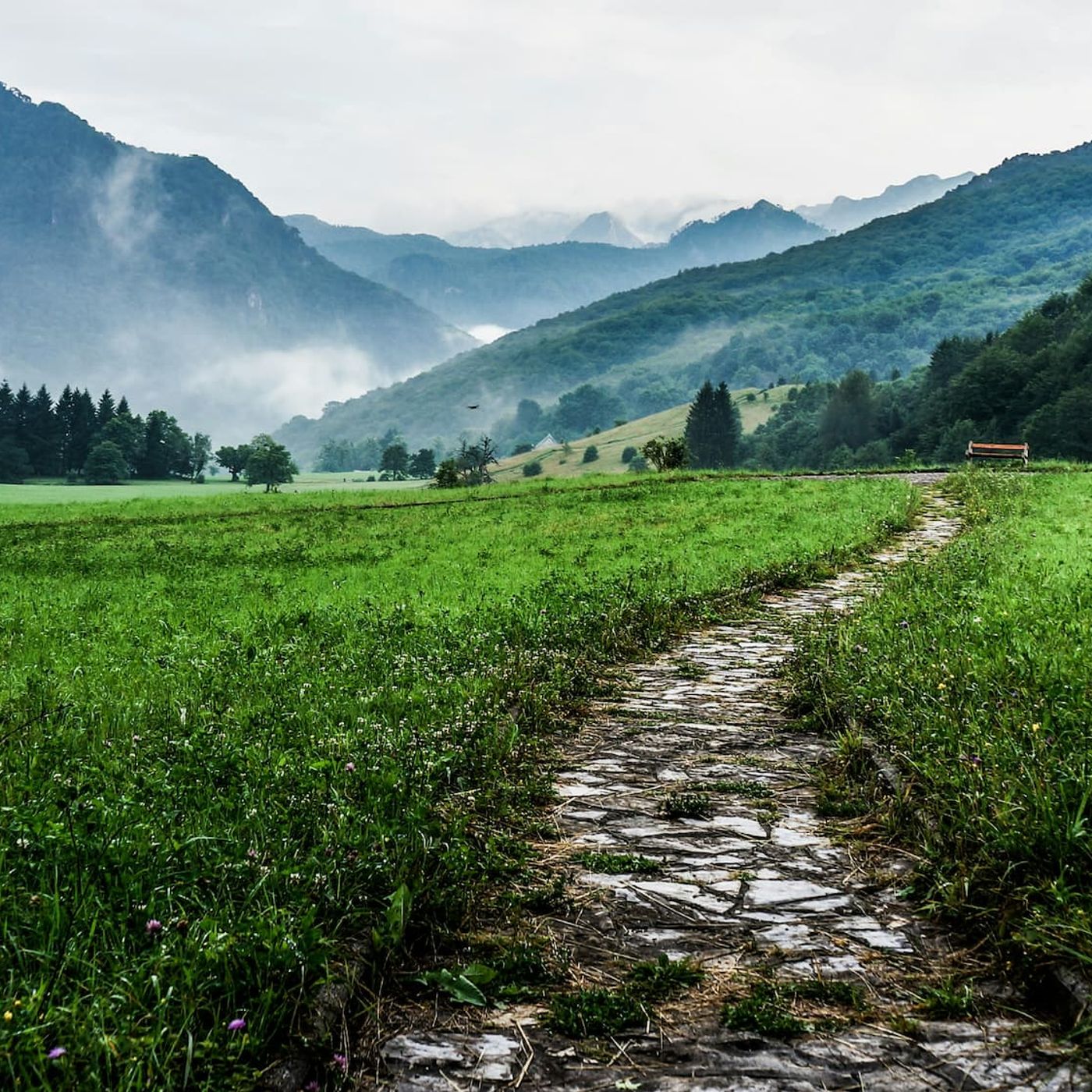 Le strade panoramiche più spettacolari del mondo un viaggio attraverso i paesaggi più mozzafiato episode artwork