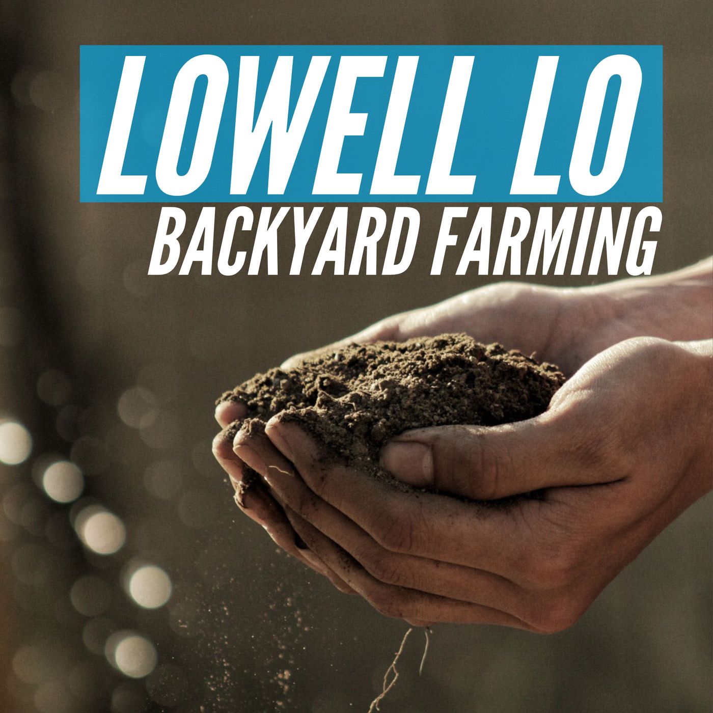 Architect Lowell Lo advocating rain barrel sub-irrigation for backyard urban farming
