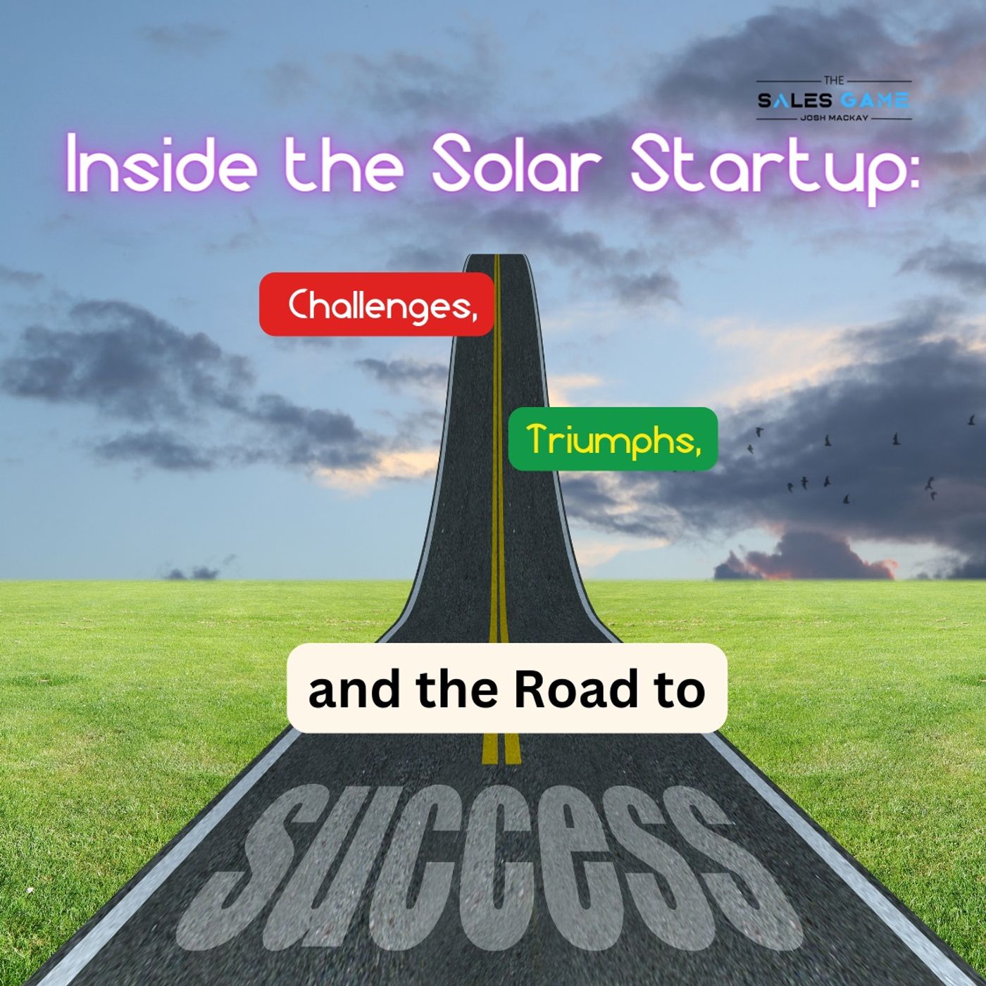 Day 24: Inside the Solar Startup - Challenges, Triumphs, and the Road to Success episode artwork