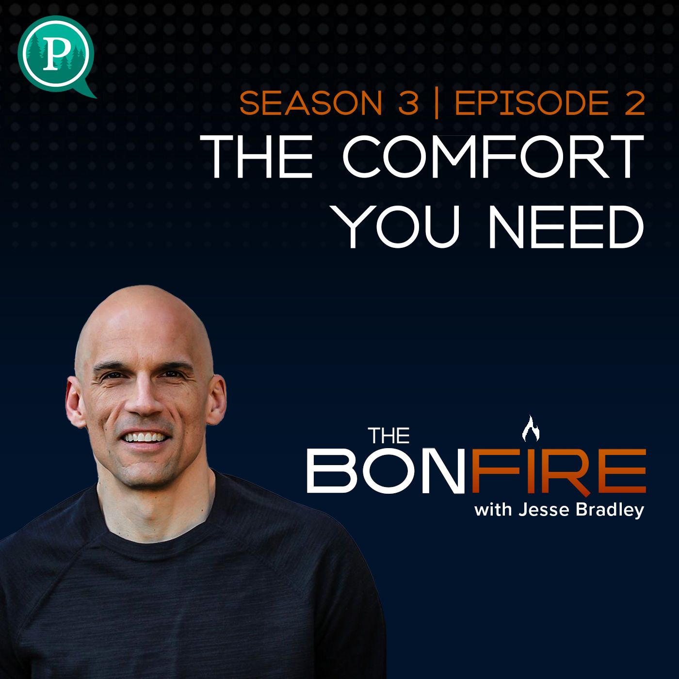 The Comfort You Need