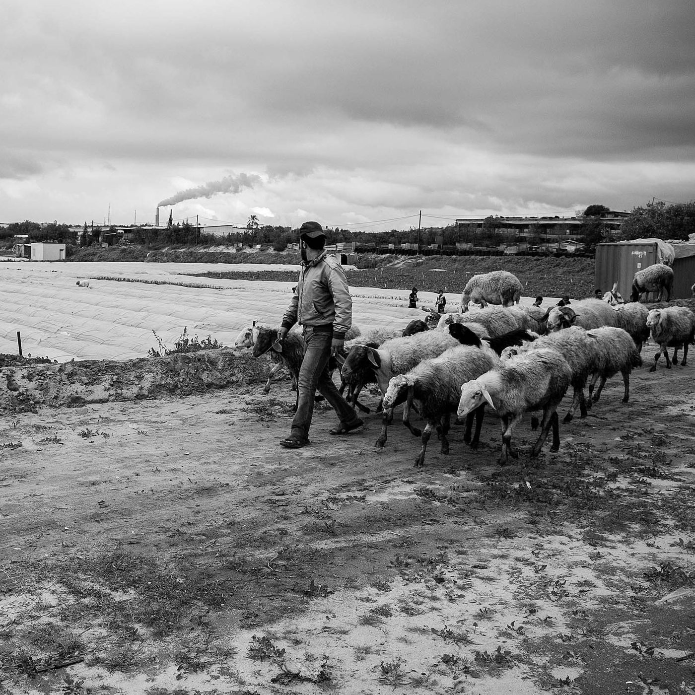 Racconti da Gaza