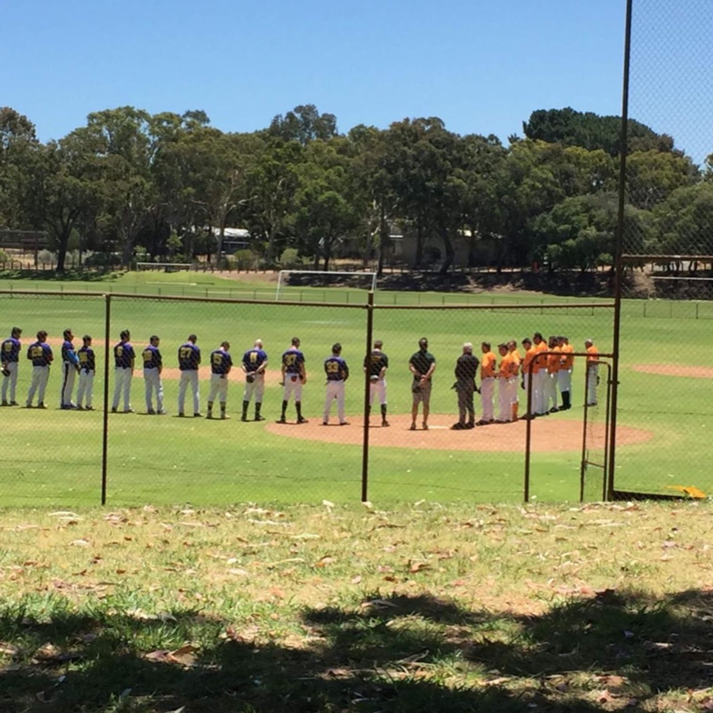 Ladywhips Baseball