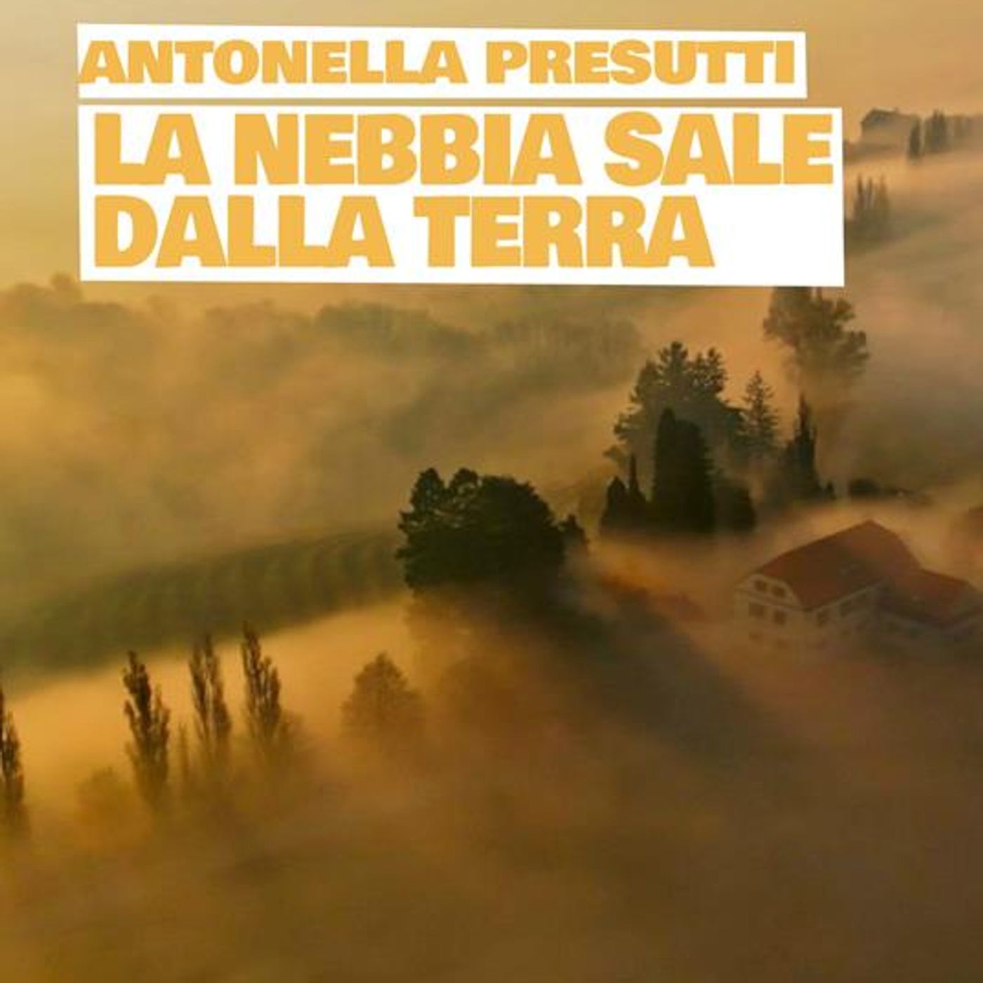 Antonella Presutti "La nebbia sale dalla terra"