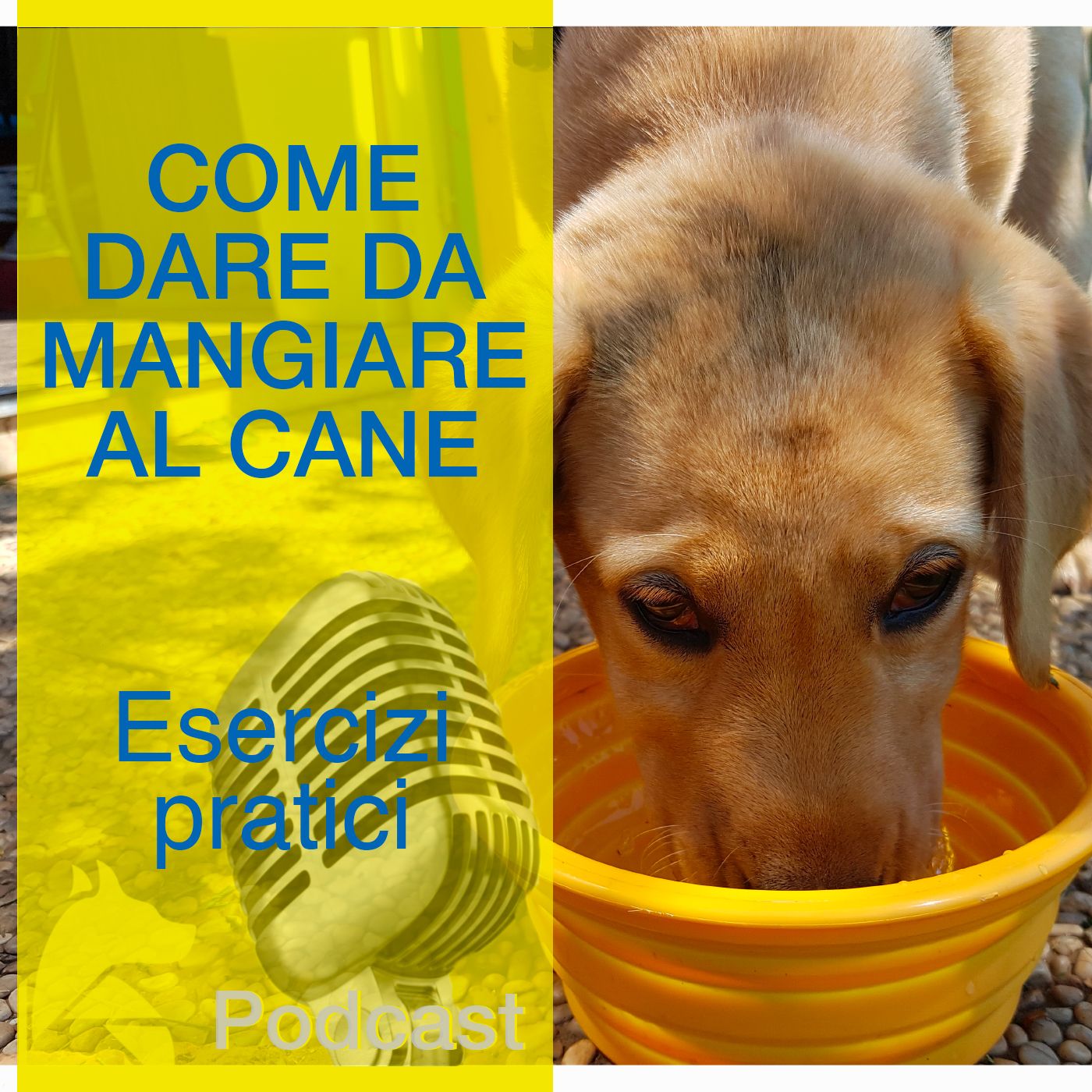 Come Dare da Mangiare al Cane  -Pratica-