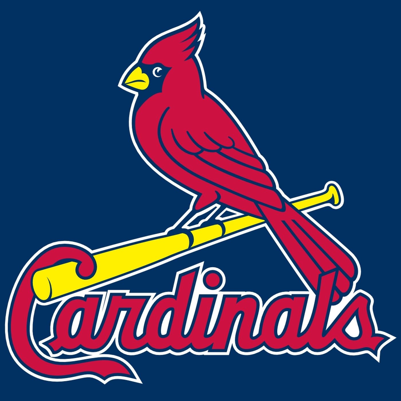 The Bird Breakdown