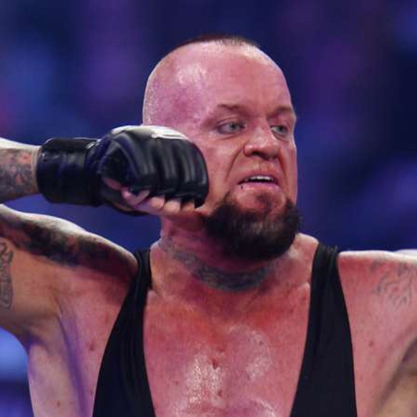 Day 5! How Undertaker’s Career Should Have Ended! Day 5! How Undertaker’s Career Should Have Ended!