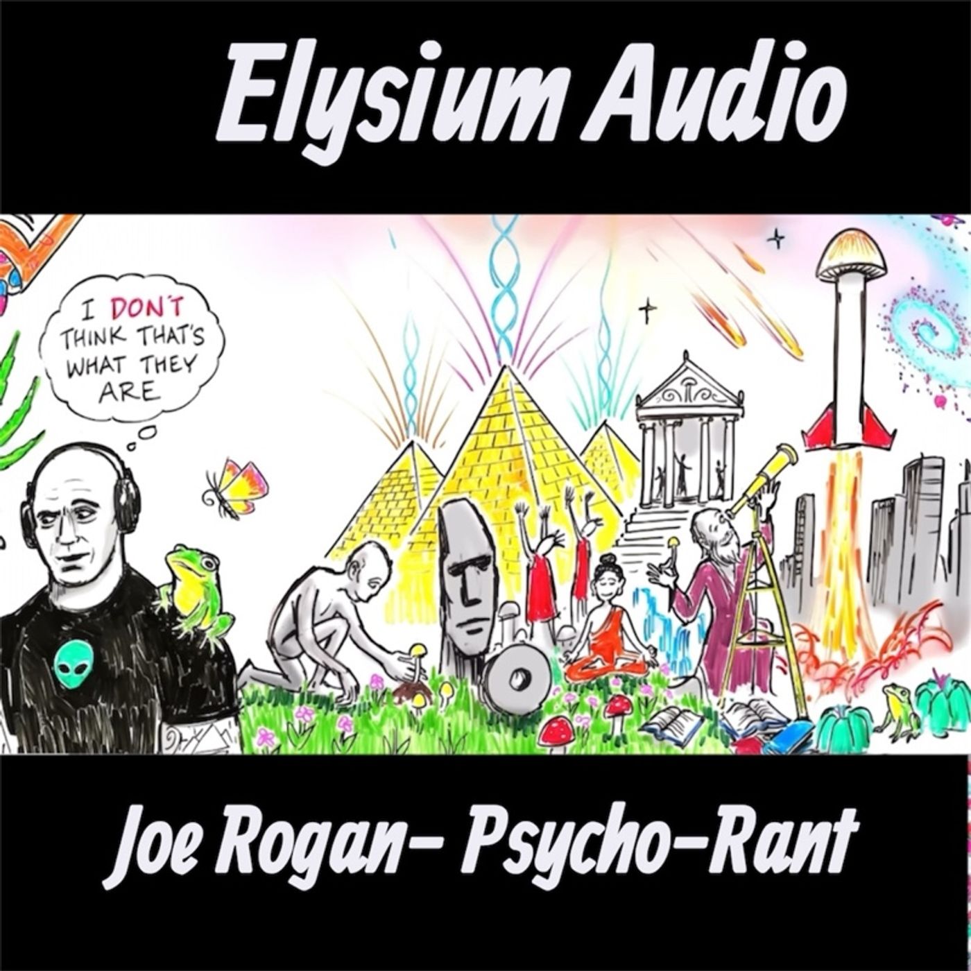 Joe Rogan- Psychedelics rant (13mins!)