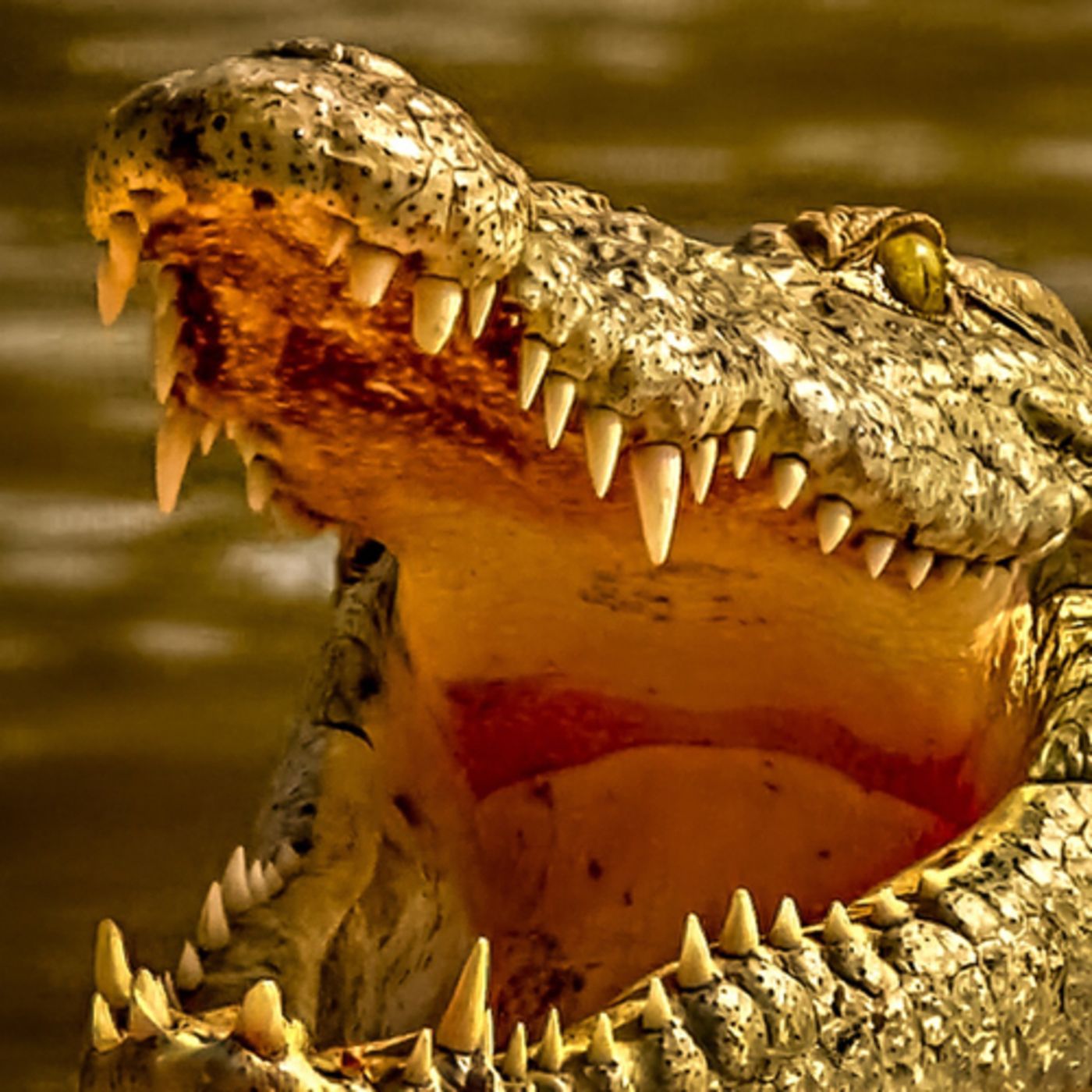 El caimán del Turia