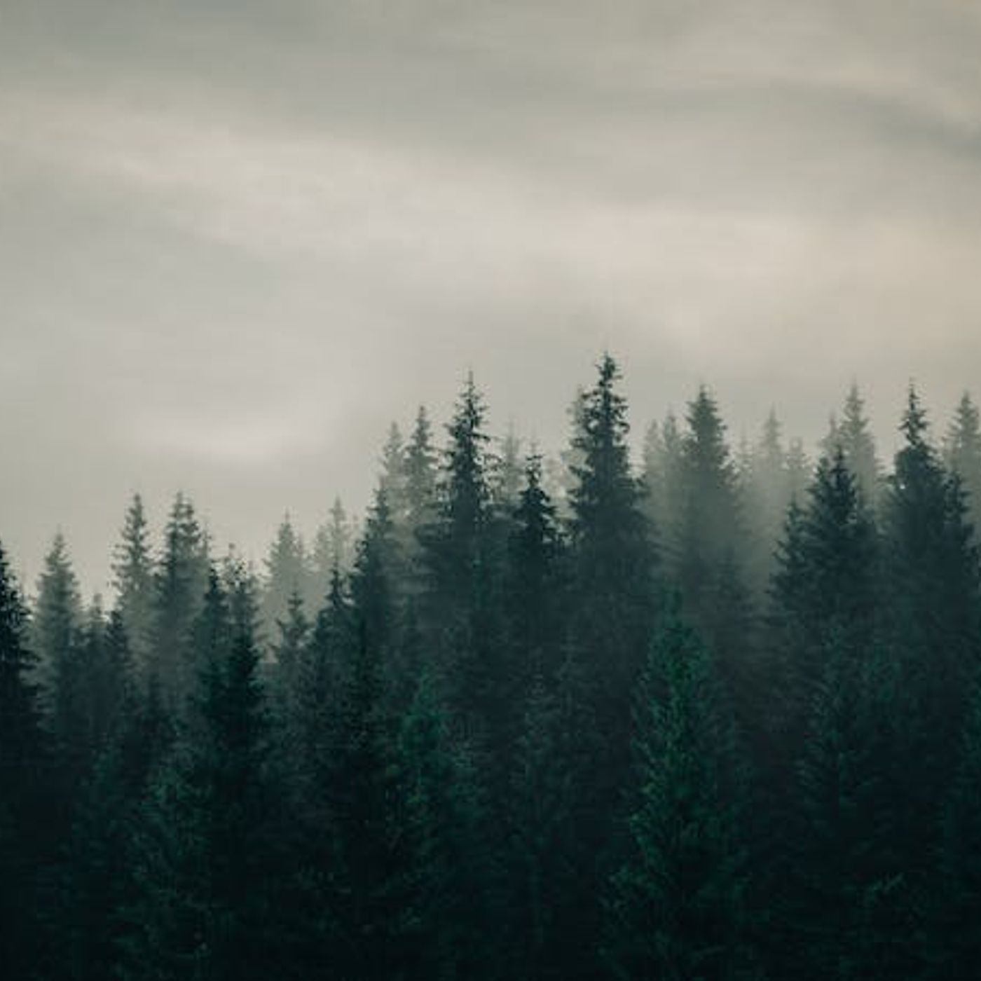 Is Something Evil Only If It Harms Others?