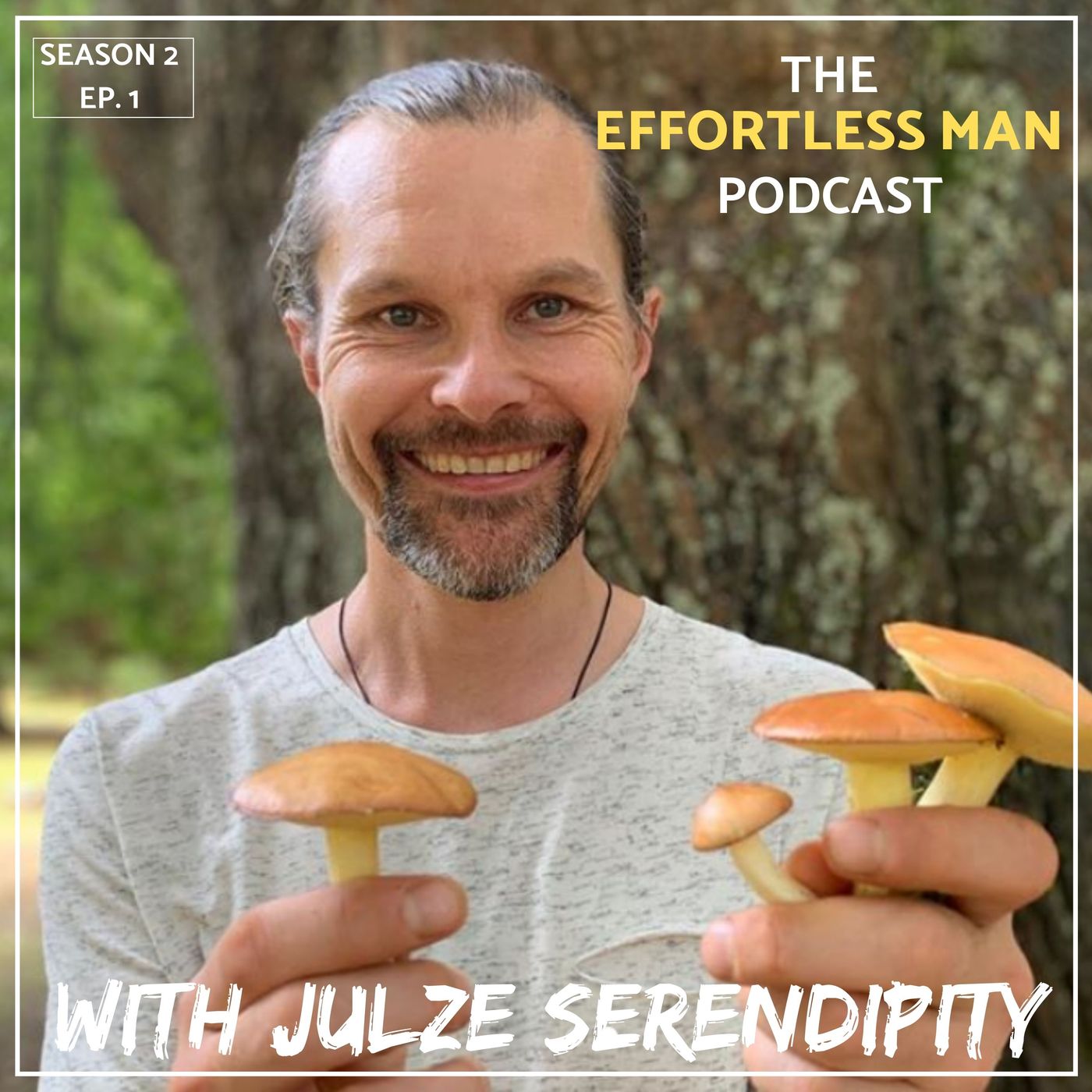 Ep 1: The Encyclopedia to Medicinal Mushrooms w/ Julze Serendipity of Teelixir Ep 1: The Encyclopedia to Medicinal Mushrooms w/ Julze Serendipity of Teelixir