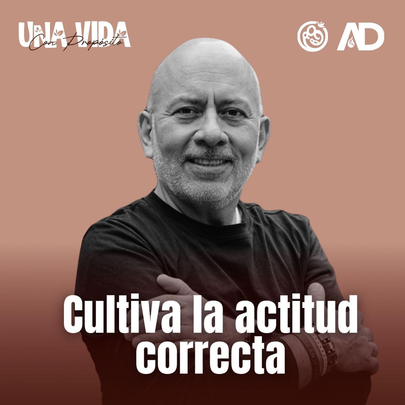 Portada de Entre La Vida y la Biblia