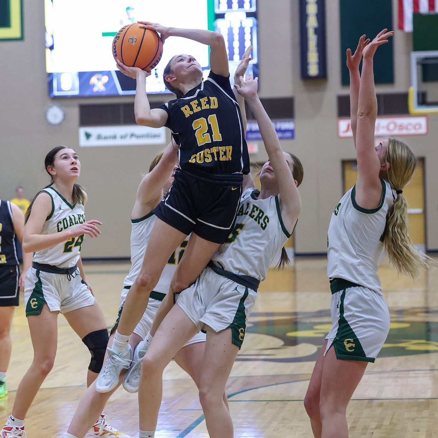 Reed-Custer’s Alyssa Wollenzien nears triple-double in win over Coal City episode artwork