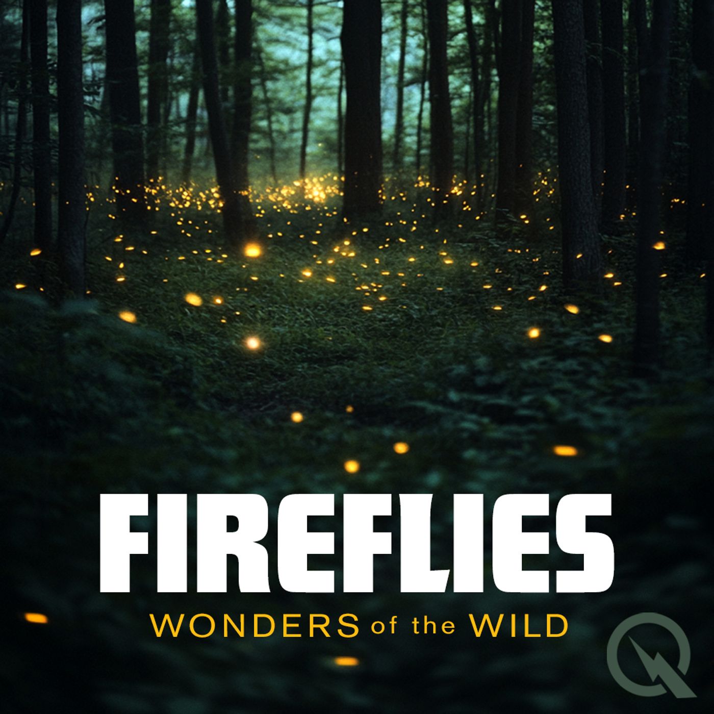 Fireflies podcast artwork