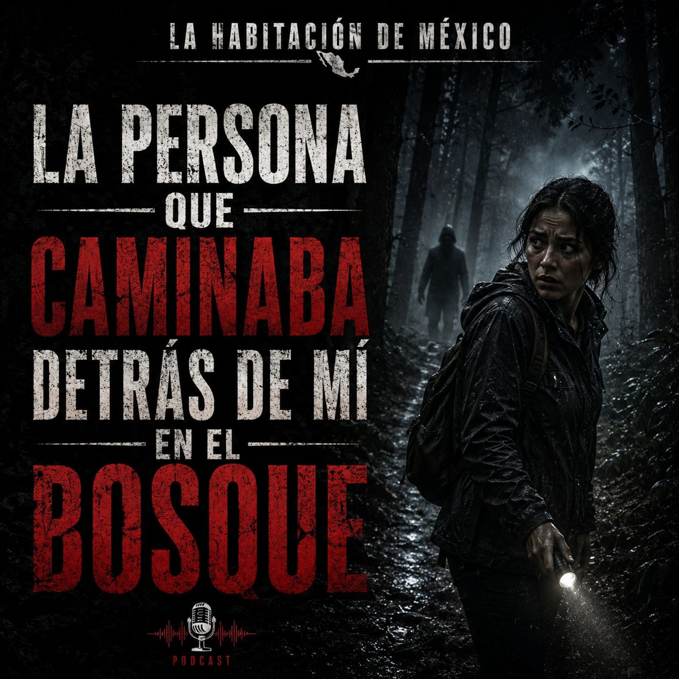 La Persona que Caminaba Detrás de Mí en el Bosque