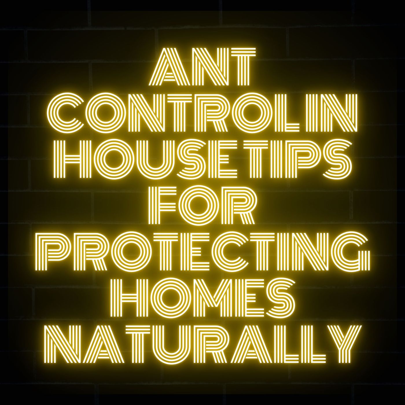 Ant Control in House Tips for Protecting Homes Naturally episode artwork
