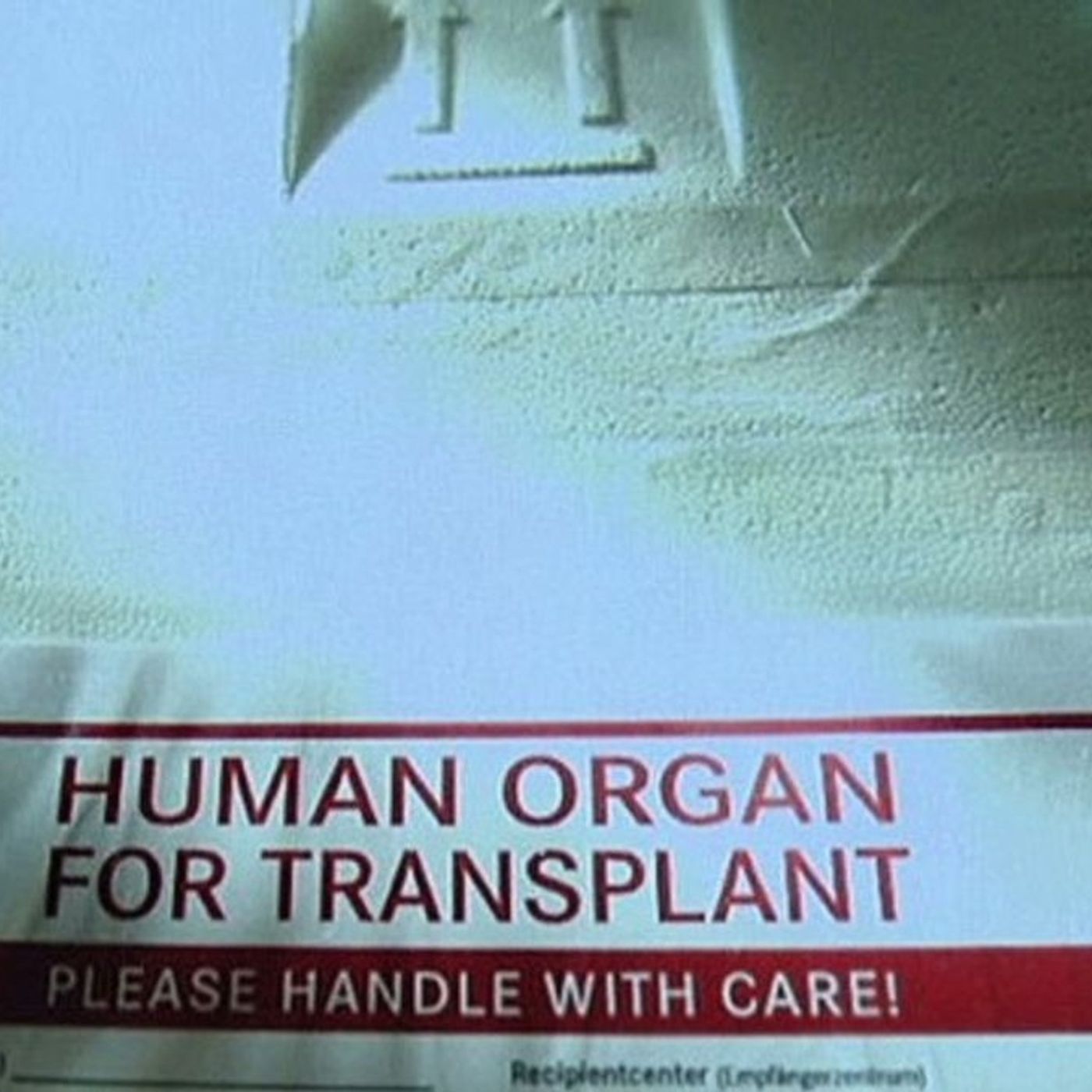 103. Trafficking Human Organs to Escape War