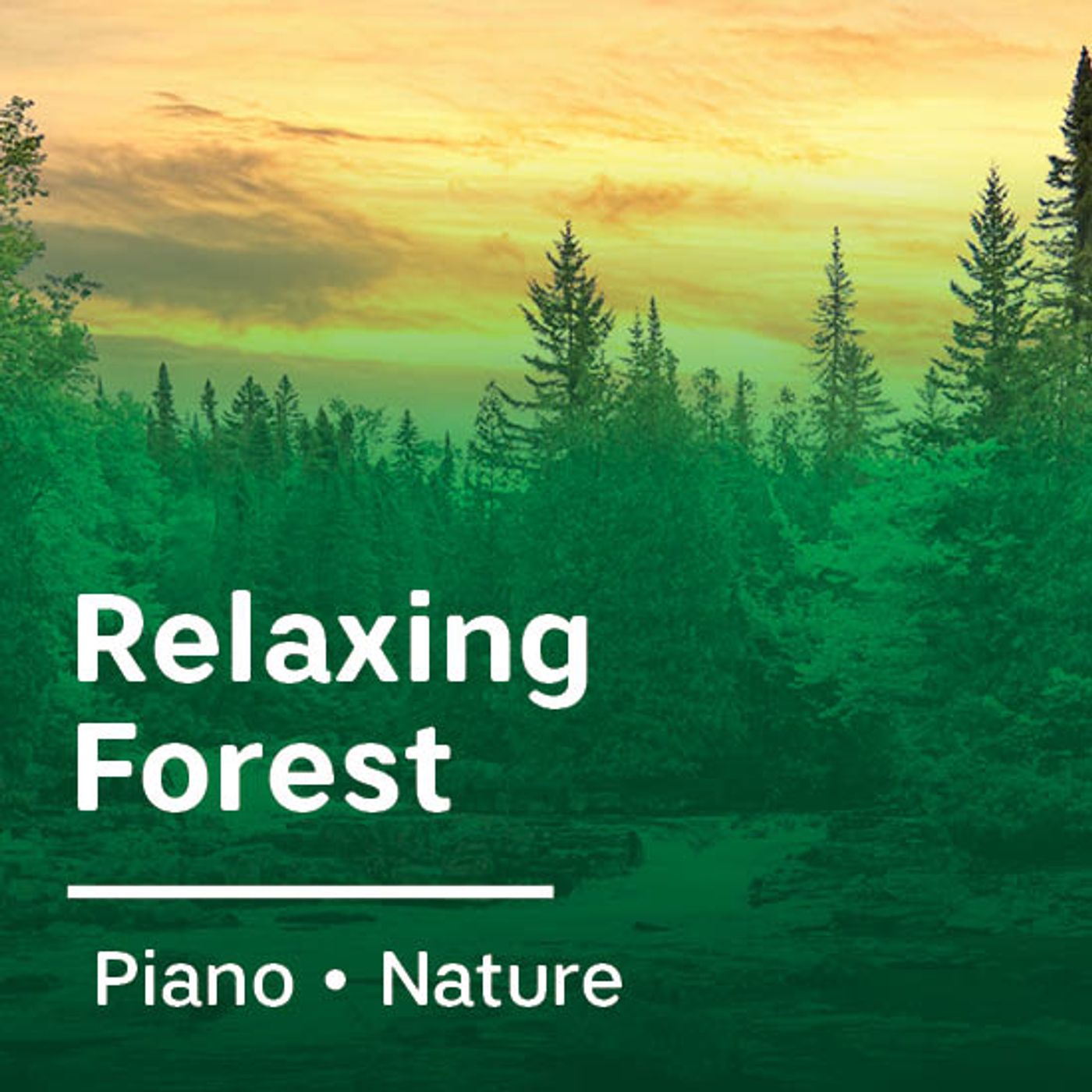 Relaxing Forest Relaxing Forest