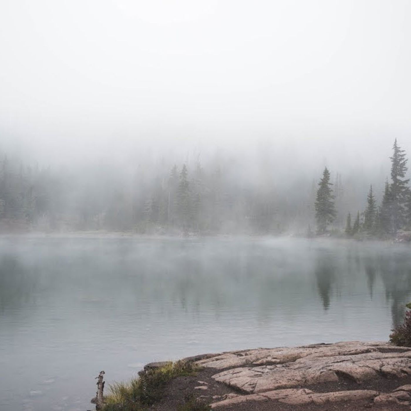 The Bigfoot of Hemlock Lake | Where Bigfoot Roams