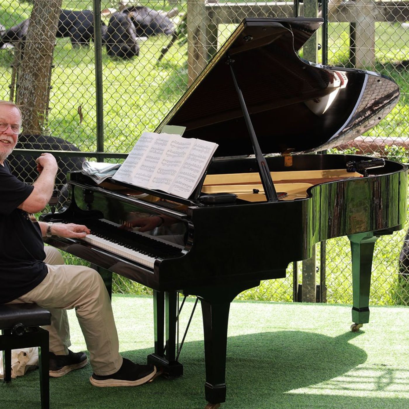Songs in Ursa Minor: Yes’ Rick Wakeman Performed a Private Show for 150 Rescue Bears