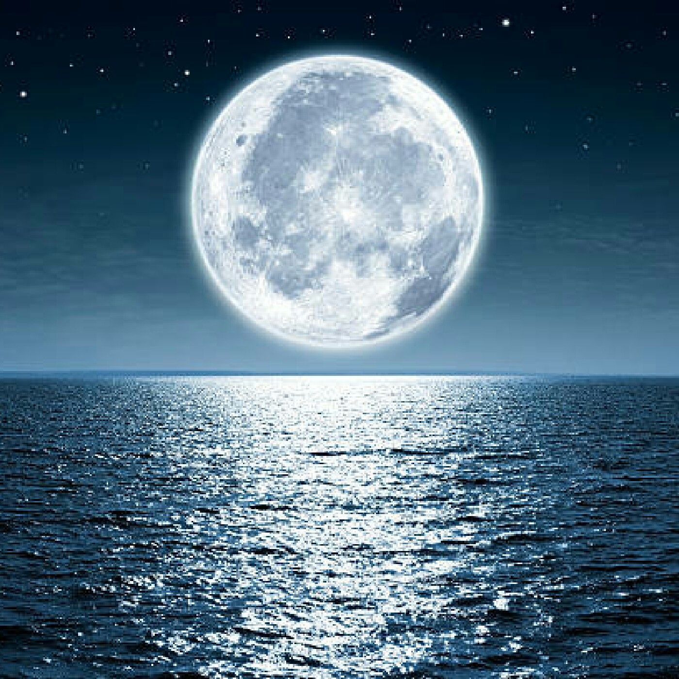Nocturnal Nights