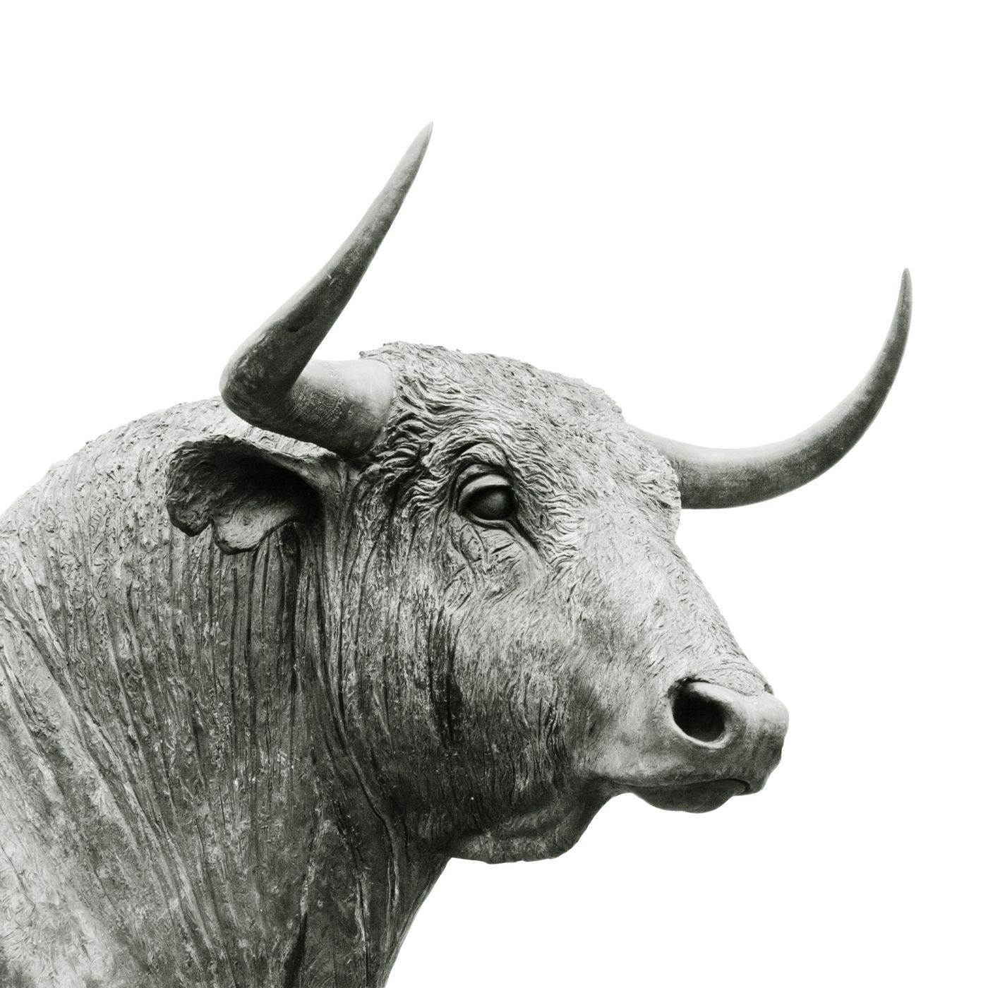 BinghamBullPodcast cover