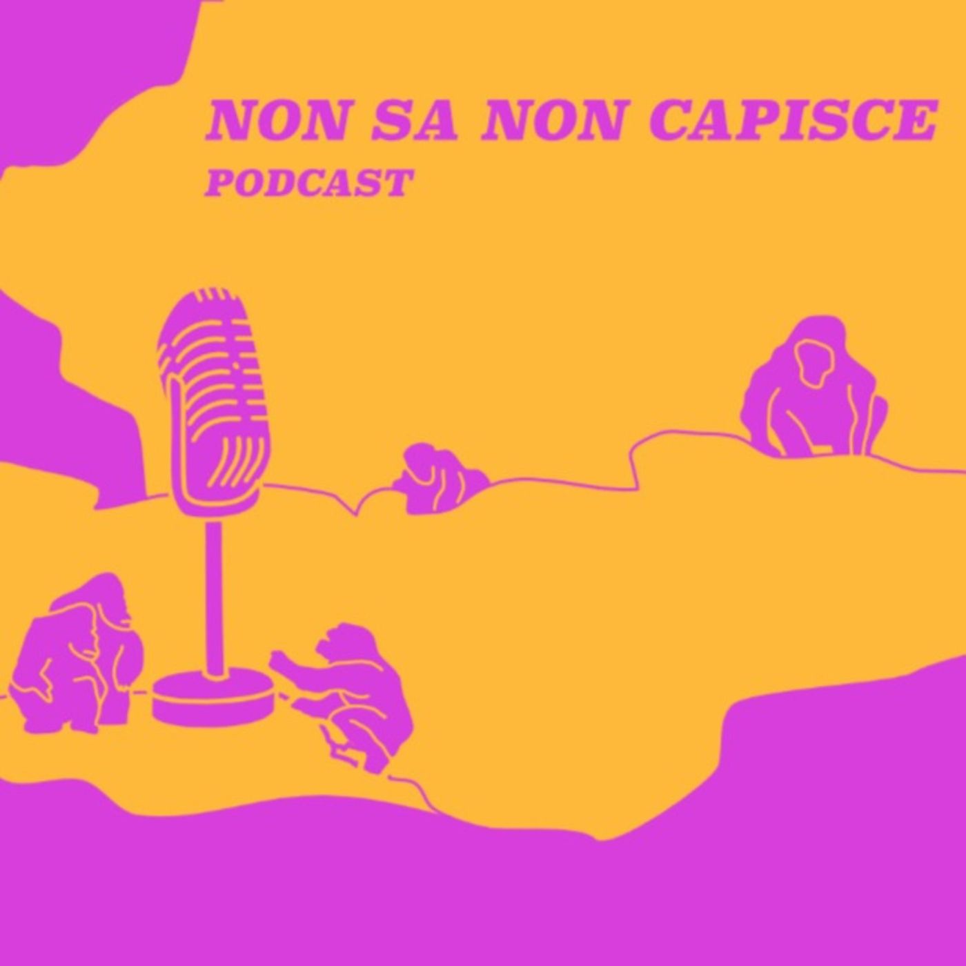 Non sa non capisce