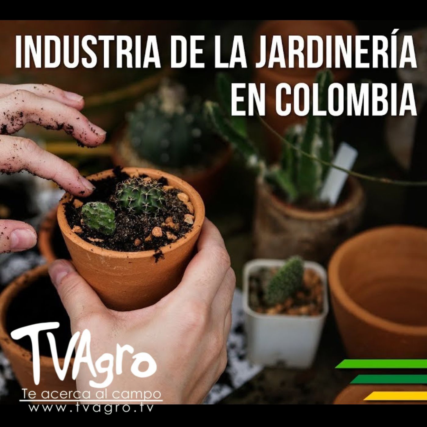 TV AGRO